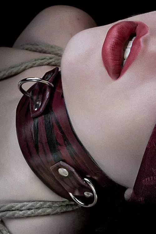Collared.