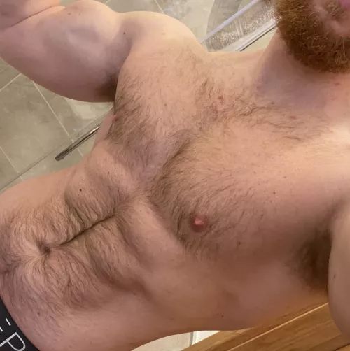Come big your Hairy Daddy a hug