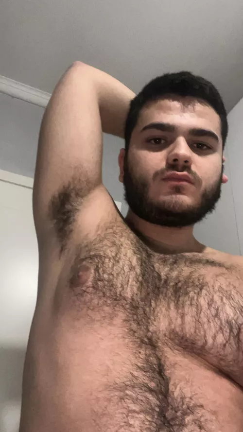 Come sniff my arab armpit