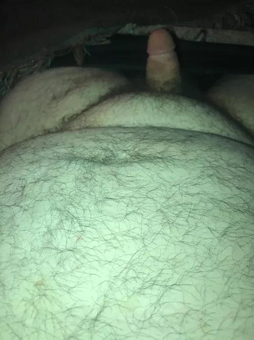 Cub needing to be bred(texas)