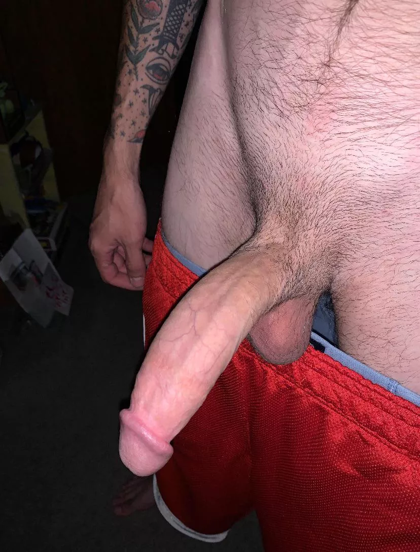 fat morning cock anyone?