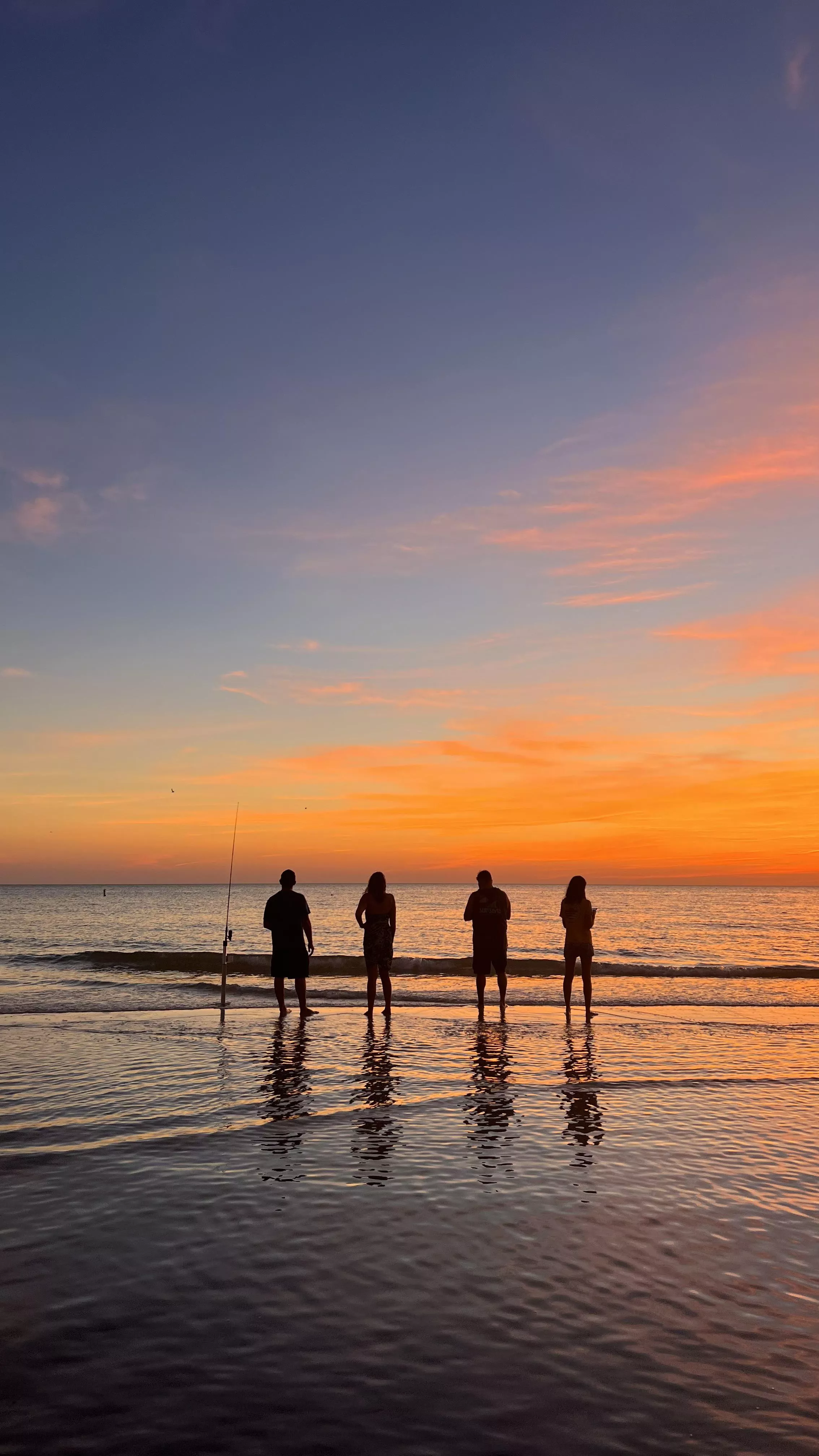 Friends in our backyard