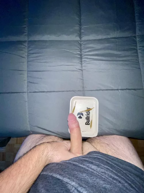 Good (m)orning, day dreaming about 😼