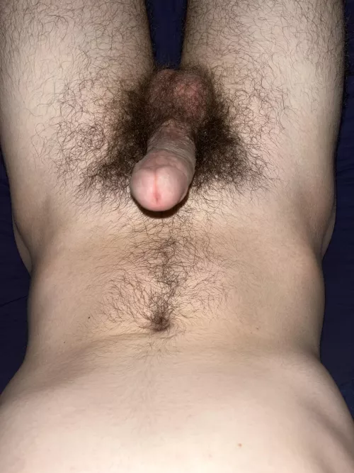 Hairy all around