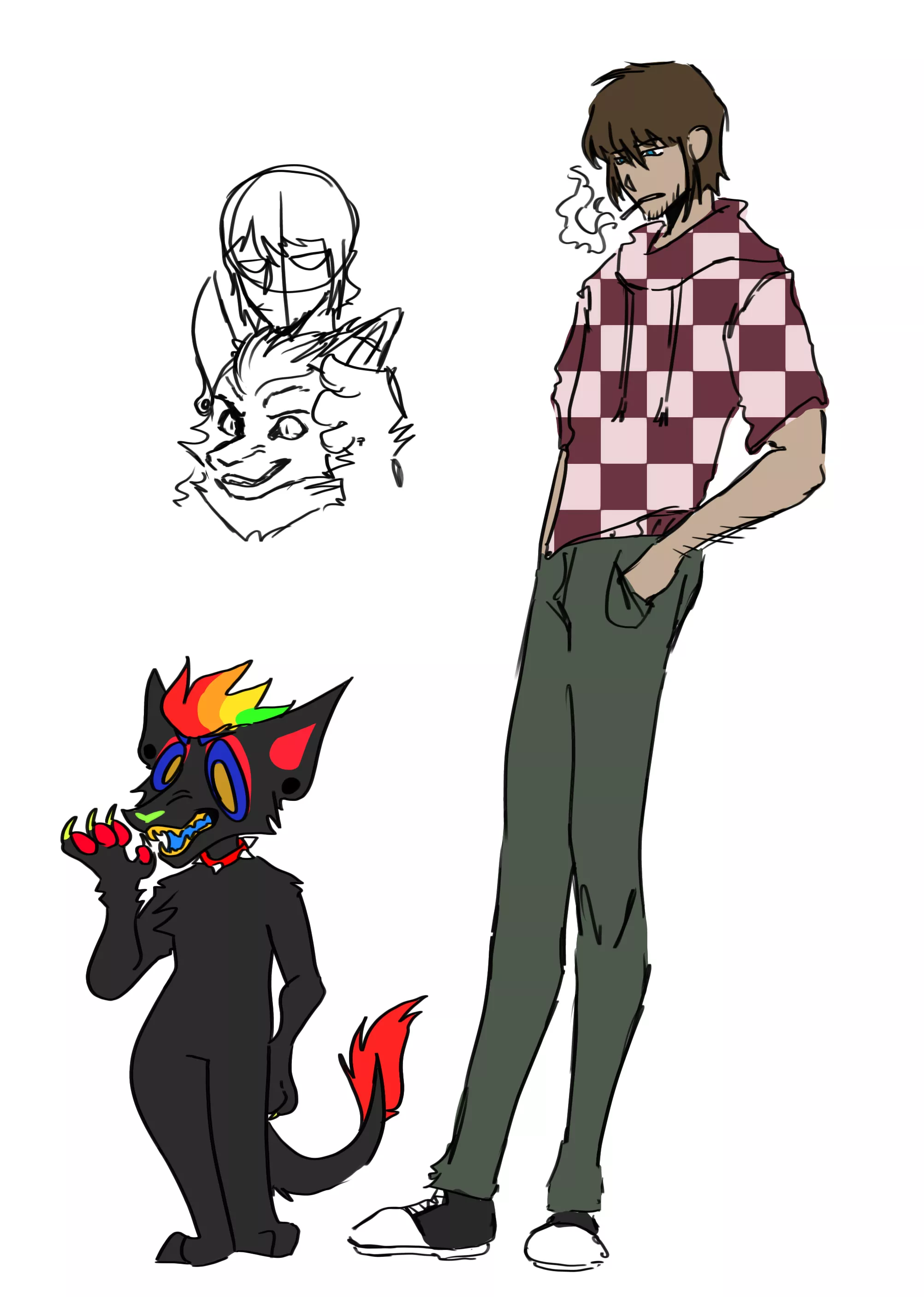 Have you ever heard of a furry character? Not in the animal terms, but an actual OC that is a member of the fandom.