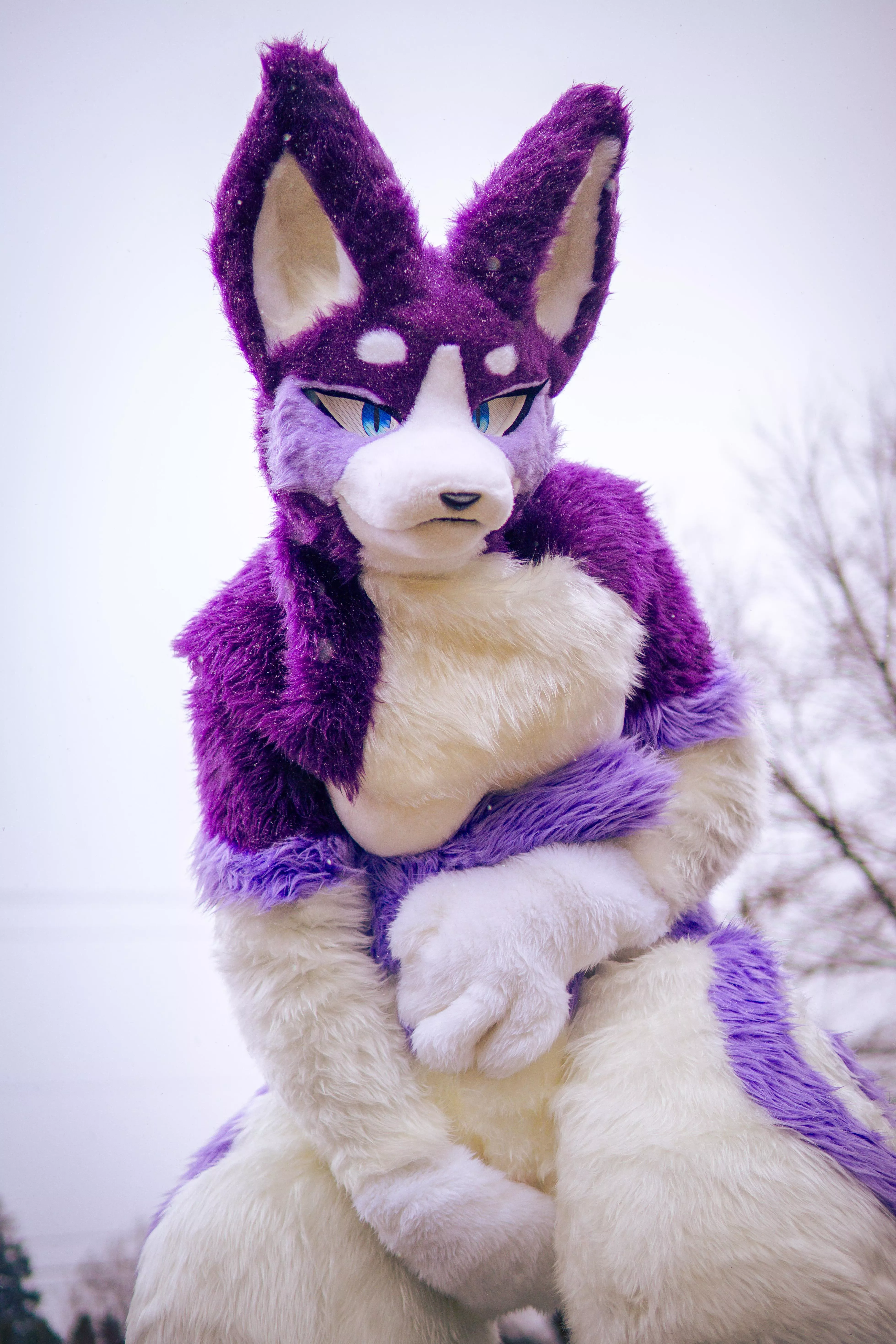 Hey there~ Wanna be my valentine?