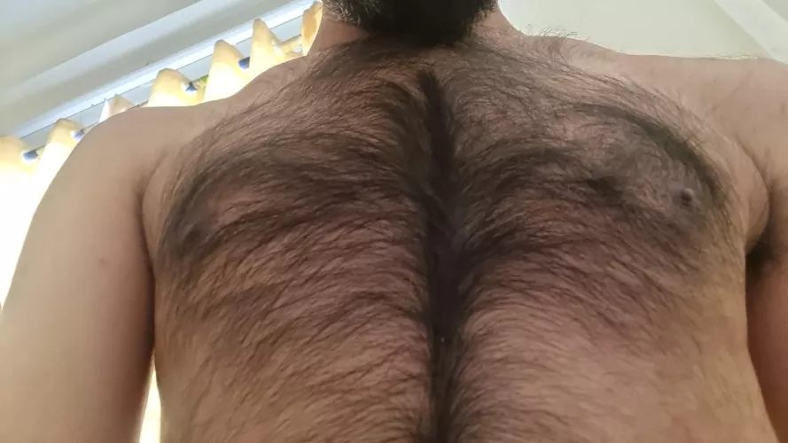 I grew this fur for winter, by with summers approaching it's getting too hot..