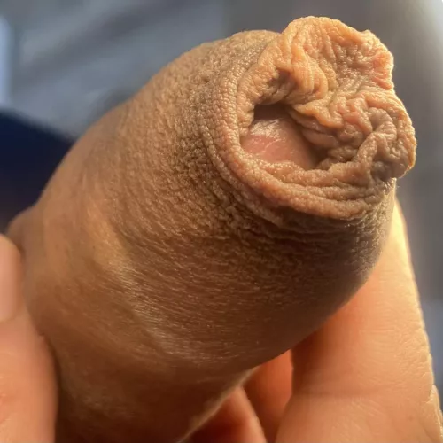 Meaty and picture perfect