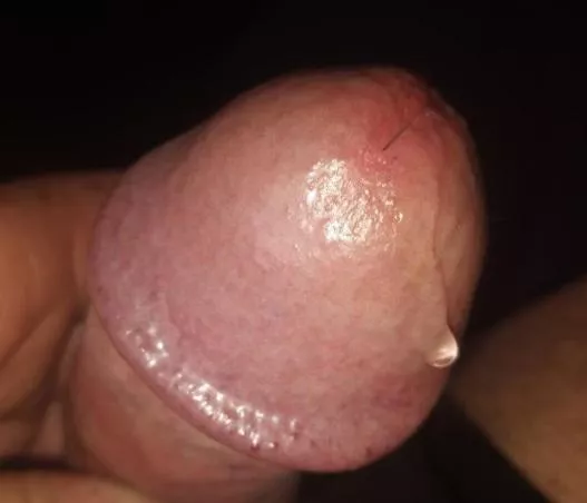 Morning dripping