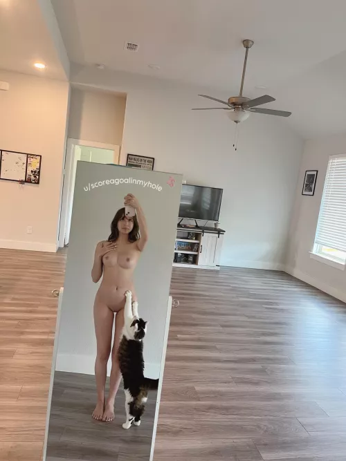 My cat is not a paid actor 😂