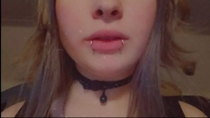 New collar 💙⭐🌙