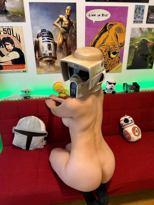 Scout Trooper (SolidlyEmbarrassed)