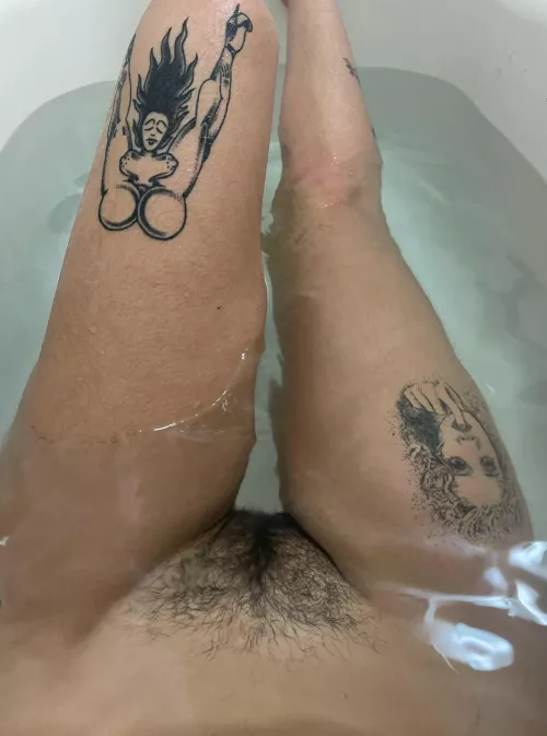 this the perfect triangle bush