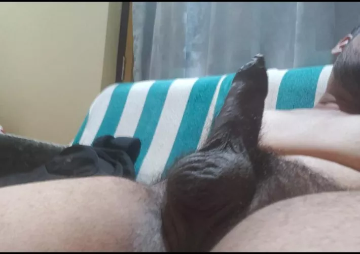 Up for breeding some women [26]