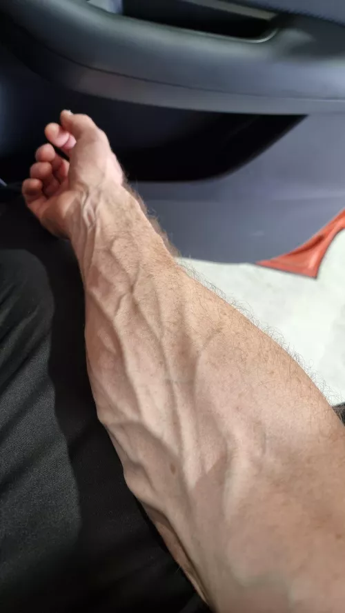 Veined Aussie forearm at work