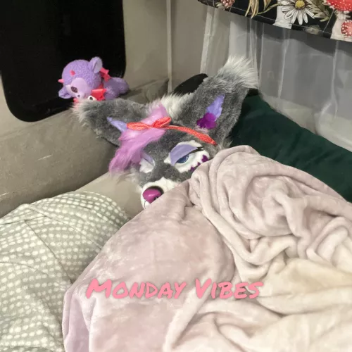 Waking up to embrace those Monday Vibes ✨🐾💤🐾✨