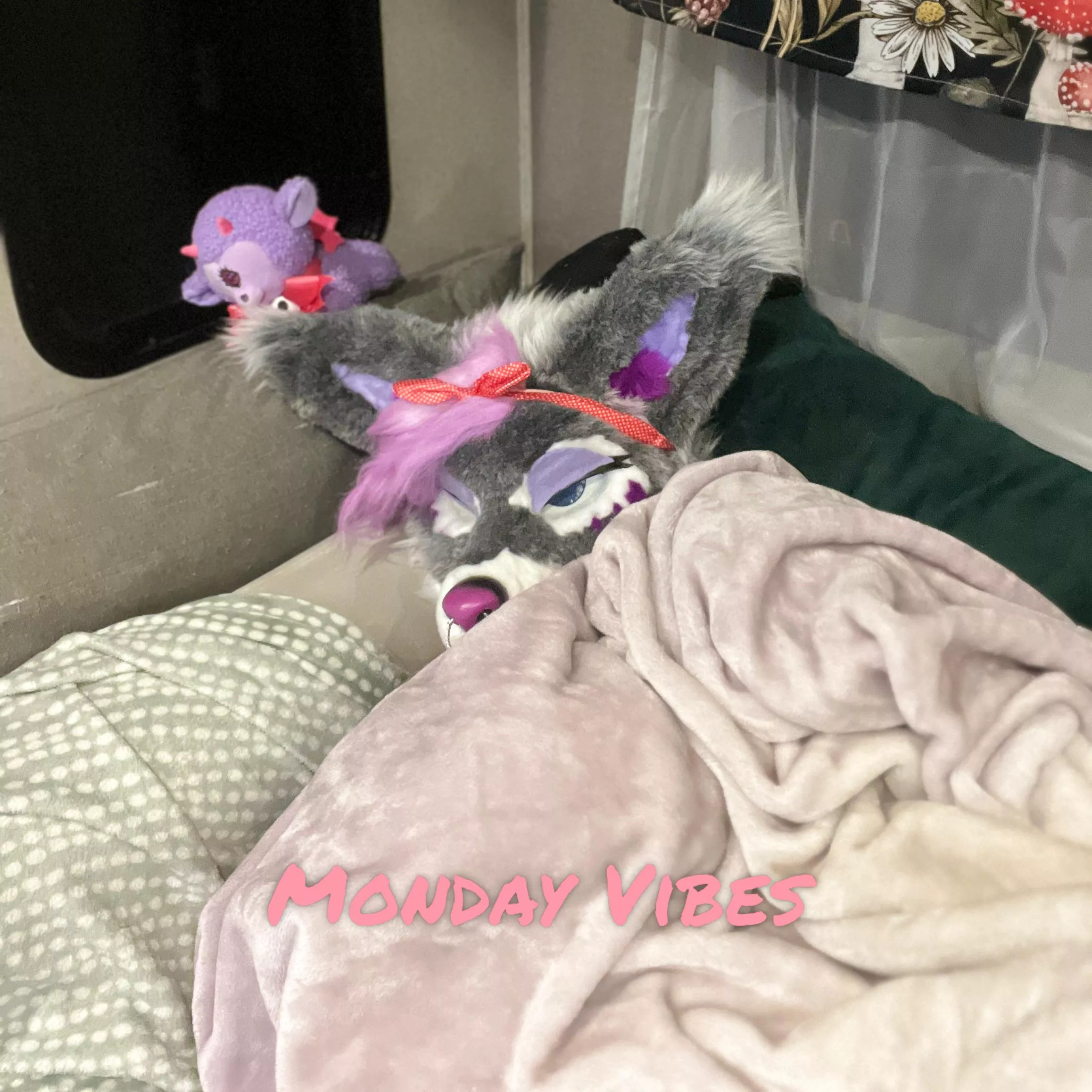 Waking up to embrace those Monday Vibes ✨🐾💤🐾✨