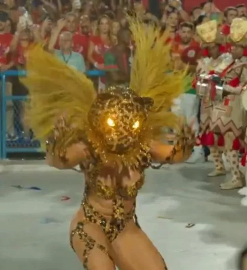 Welcome to the Carnaval!