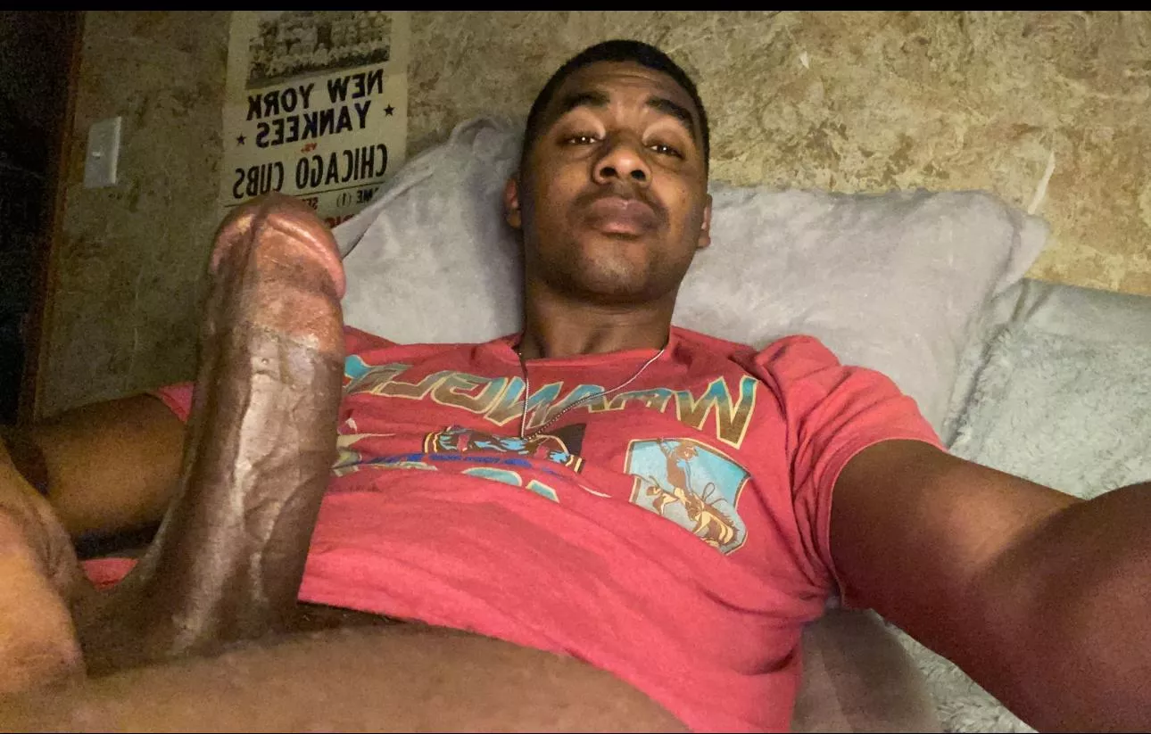 What do you guys think