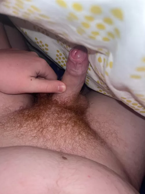 What does everyone think of my ginger pubes