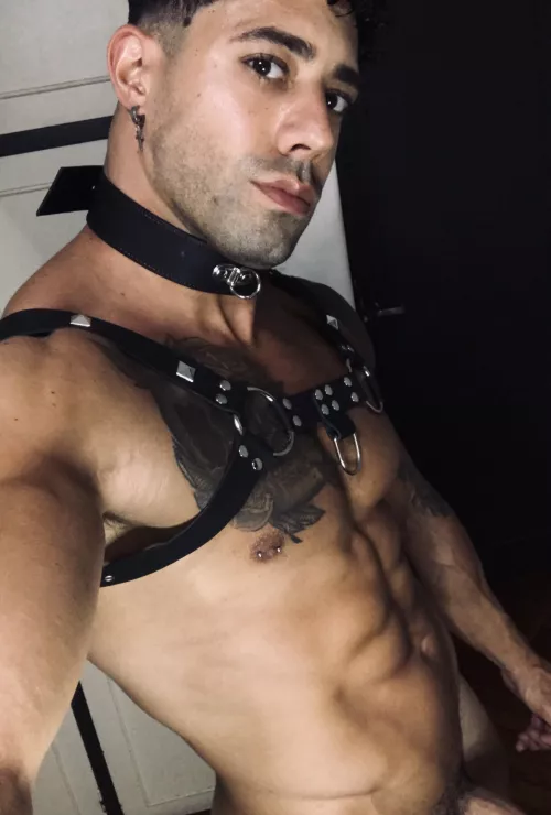 Would you like to be punished or punish me?