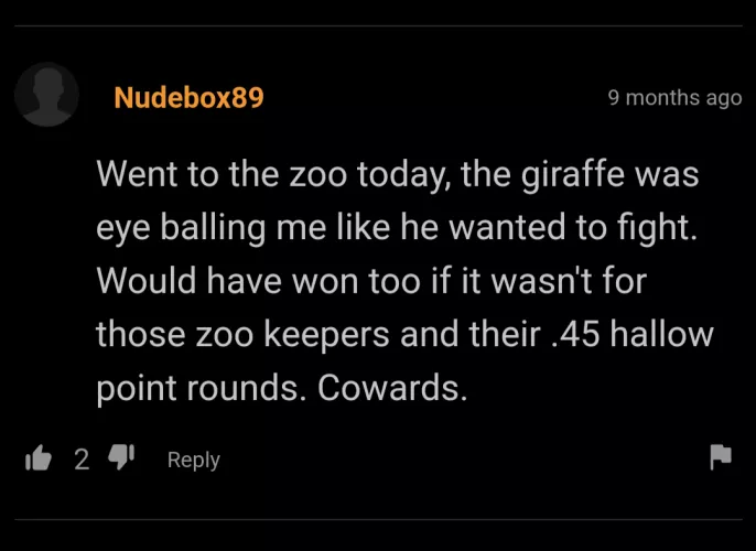 Zoo fight