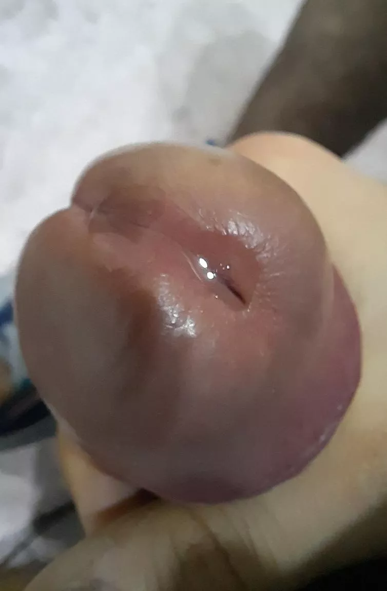 Anyone wants to lick it?