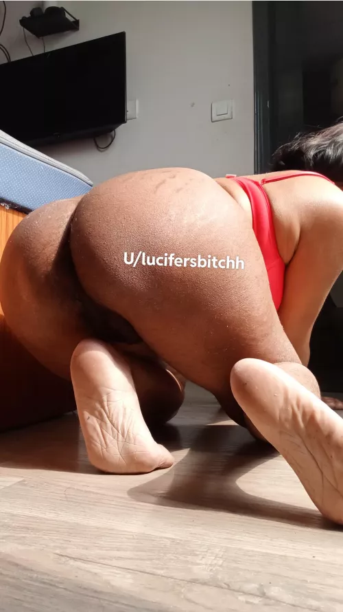 Backshots???? 😋 [F]