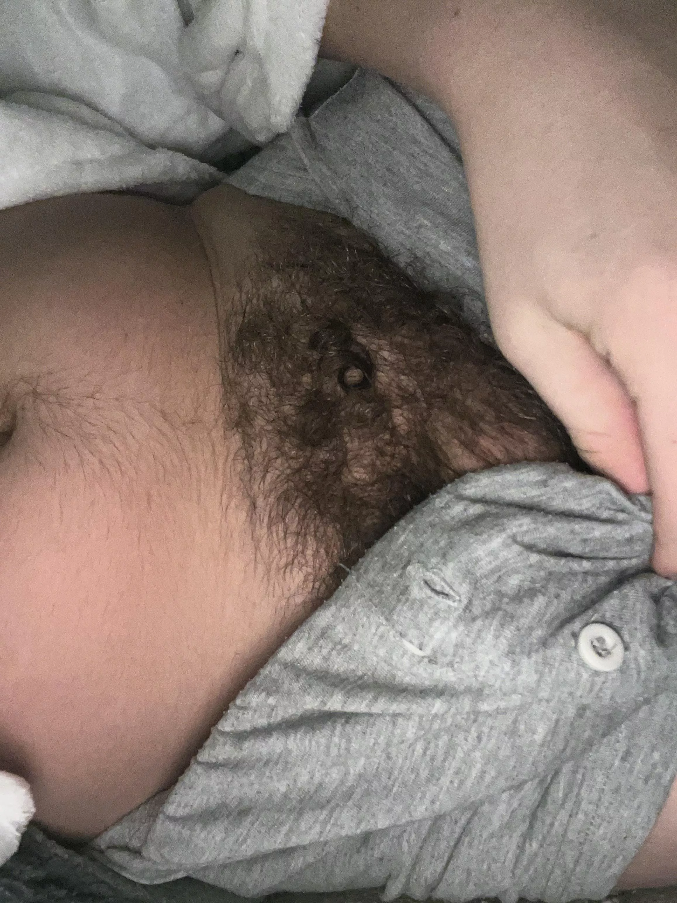 Cute little bush is turning into a massive one