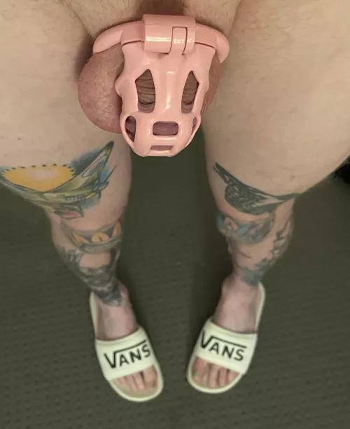 Cute new slides 🥰 do they match the cage
