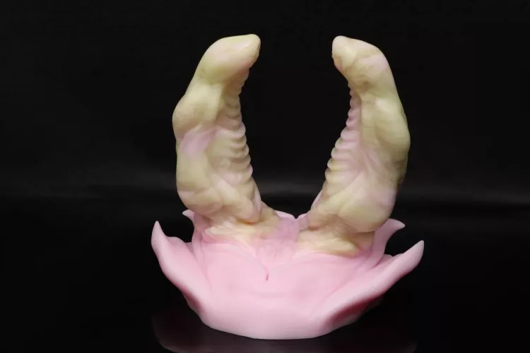 EEEEK!! I got this amazingly adorable rogue champagne cake Bruce today! What do you guys think? Is it really a rogue champagne cake? Also I'd love to hear some reviews on Bruce.