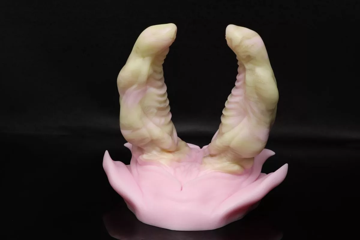 EEEEK!! I got this amazingly adorable rogue champagne cake Bruce today! What do you guys think? Is it really a rogue champagne cake? Also I'd love to hear some reviews on Bruce.