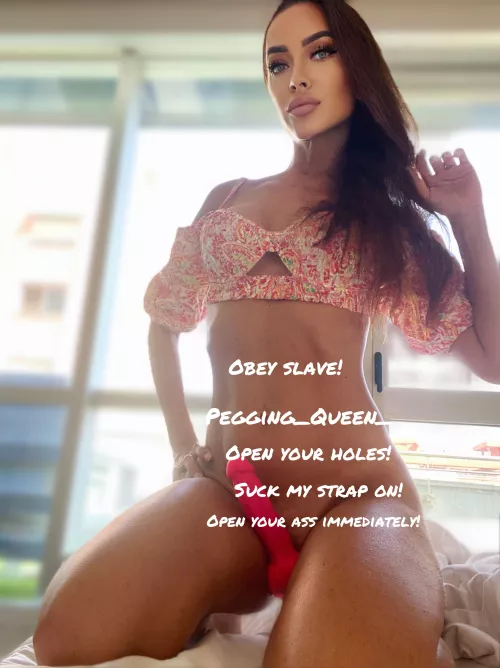 Fantastic Queen awaits her submissive.