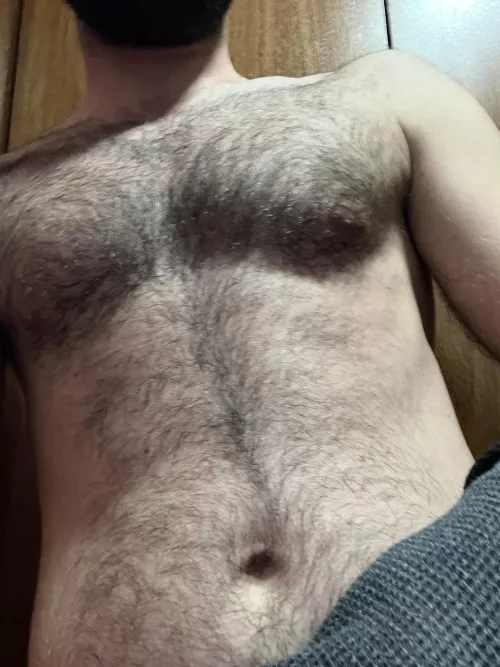 im back my fellow hairy chests!