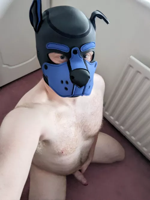 Just being a pup