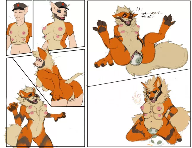Magical Arcanine Shirt Transformation (Art by CocoFox)