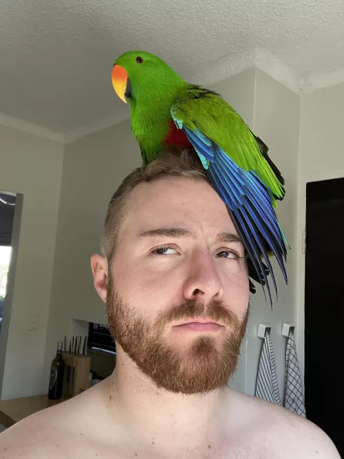 My (overly attached) one true love.