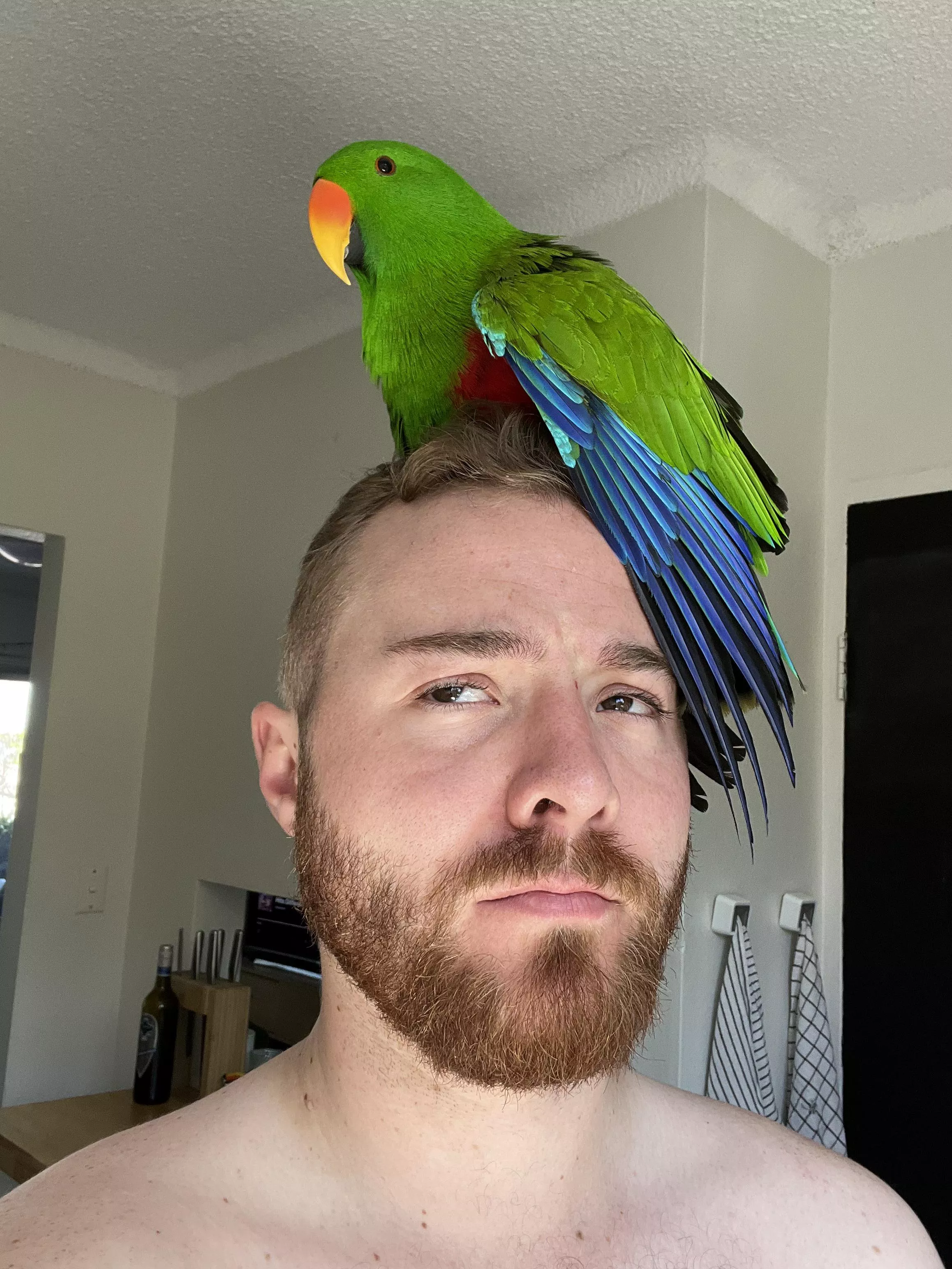 My (overly attached) one true love.