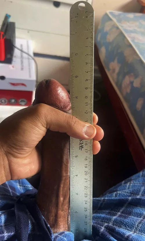 Nearly a 9 inch snake 🫣