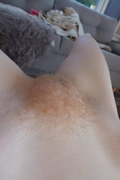 POV on my hairy mound