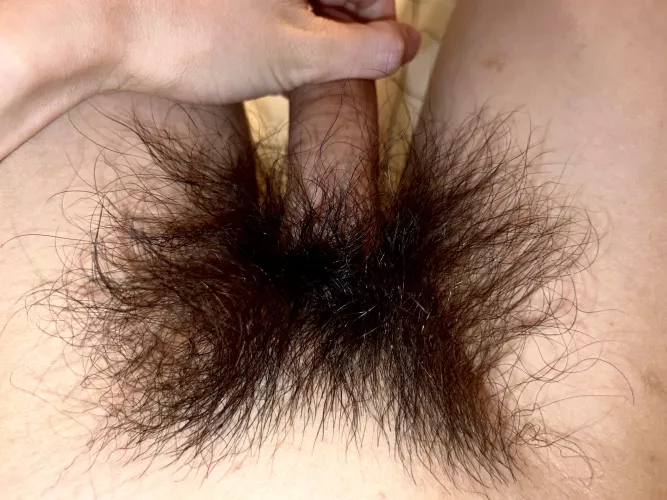 Should I keep on growing out my pubes?😉