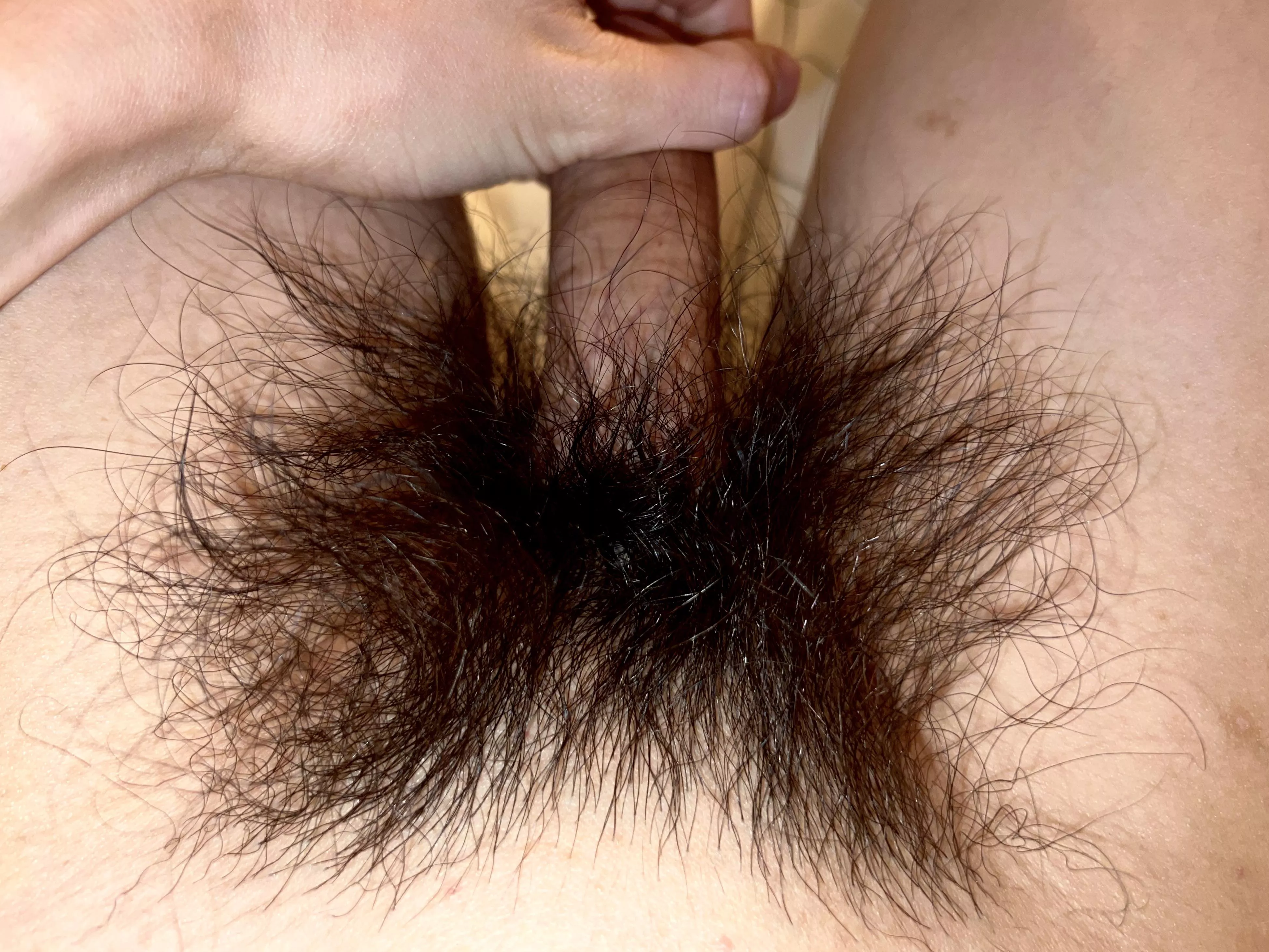 Should I keep on growing out my pubes?😉