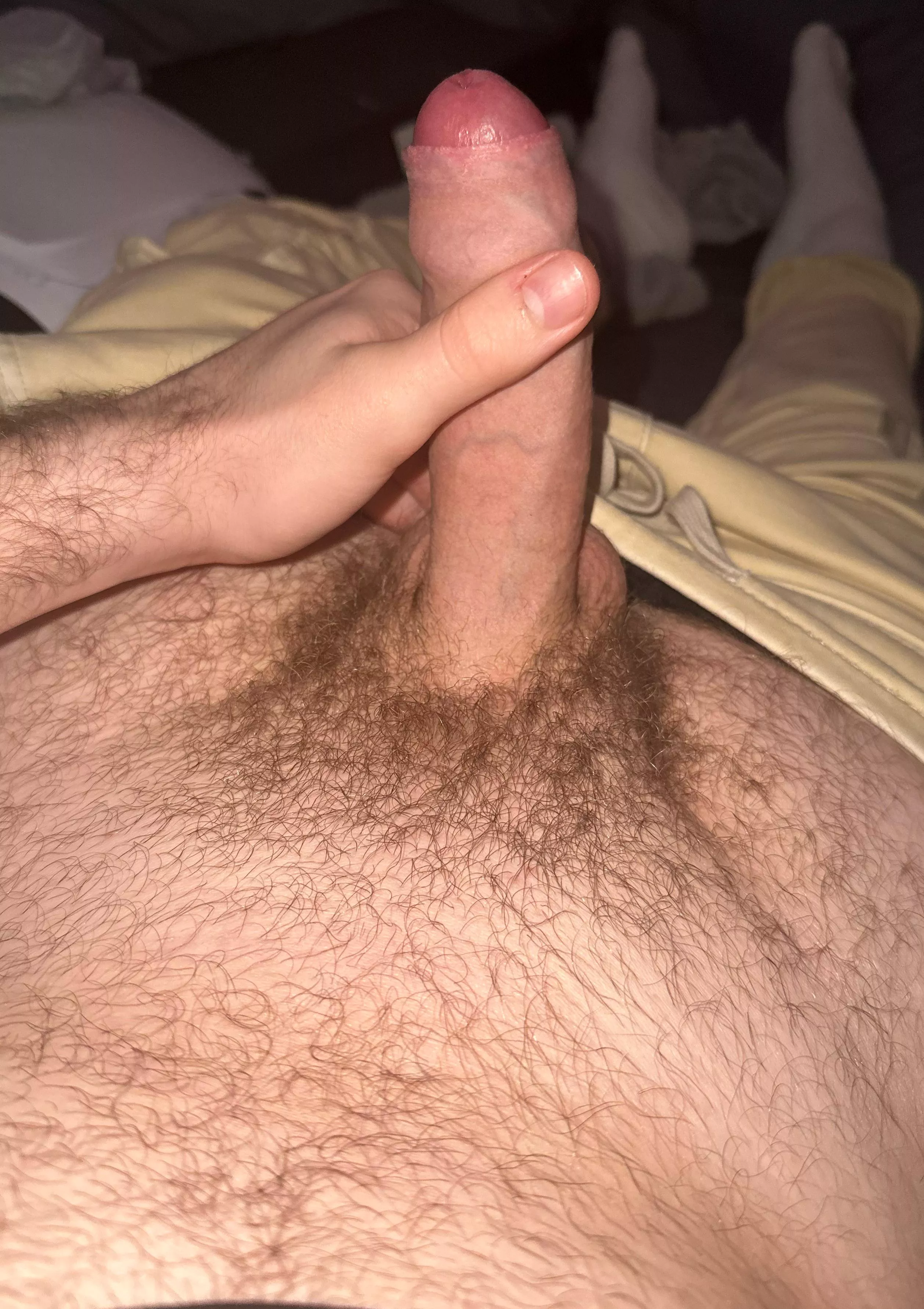 Should I shave the hair or let the forest grow more?