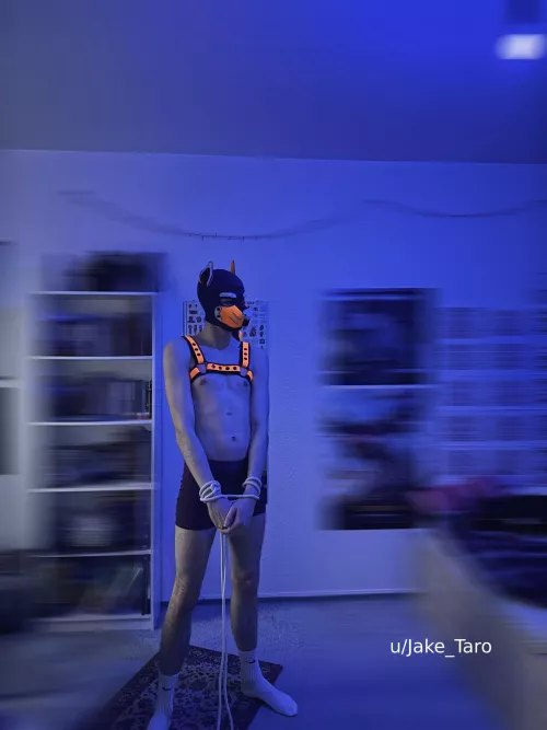 somehow i got tangled up again 👀