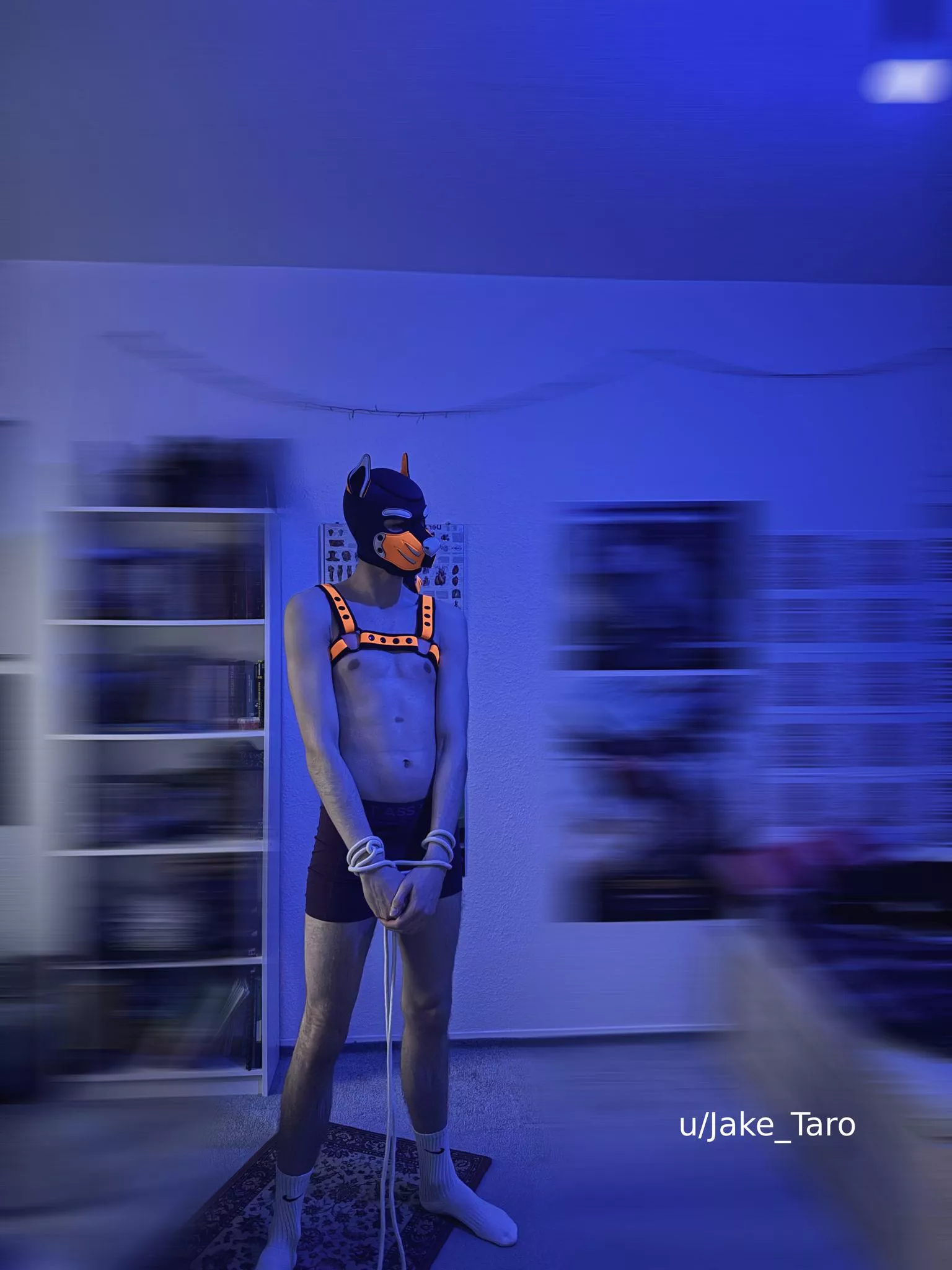 somehow i got tangled up again 👀