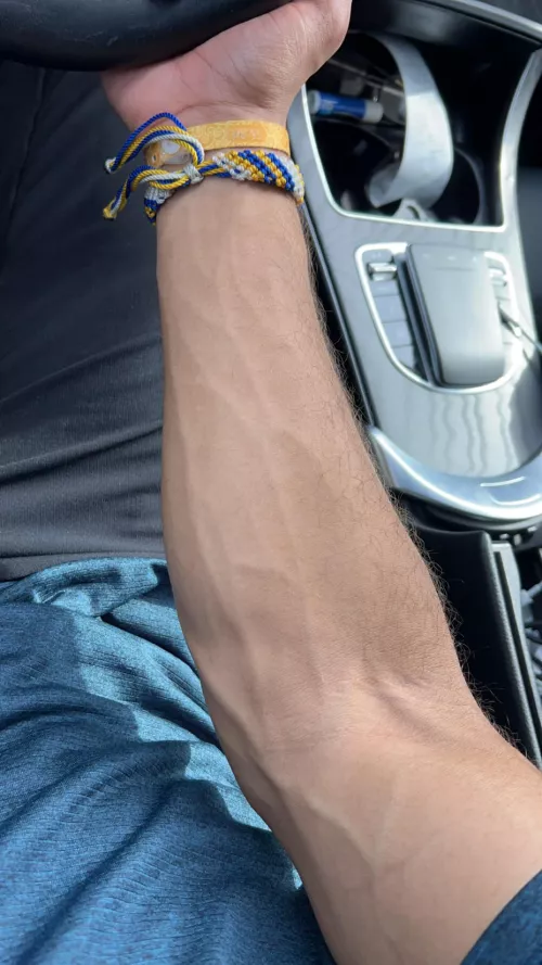 The only seatbelt you’ll ever need