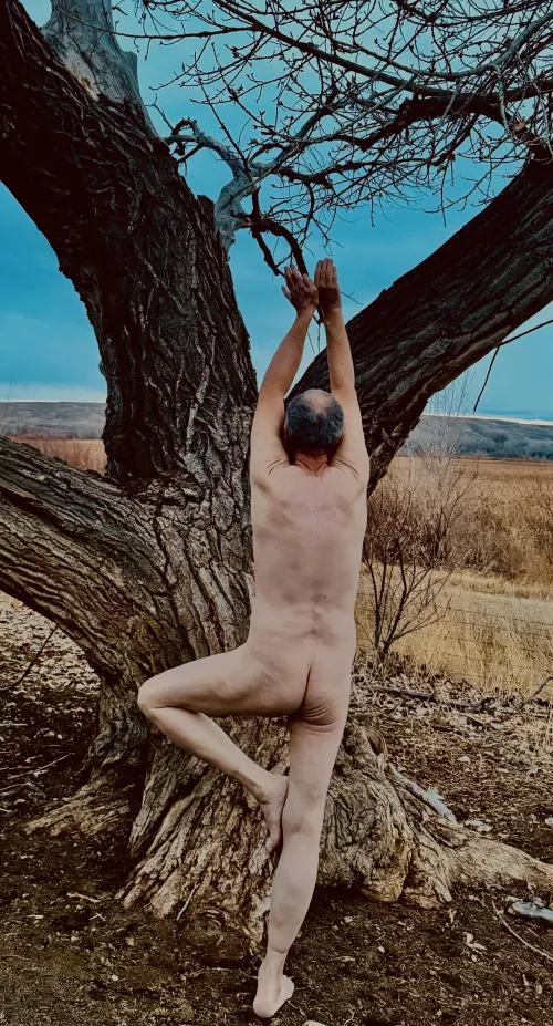 🌳Tree Pose Tuesday 🌿