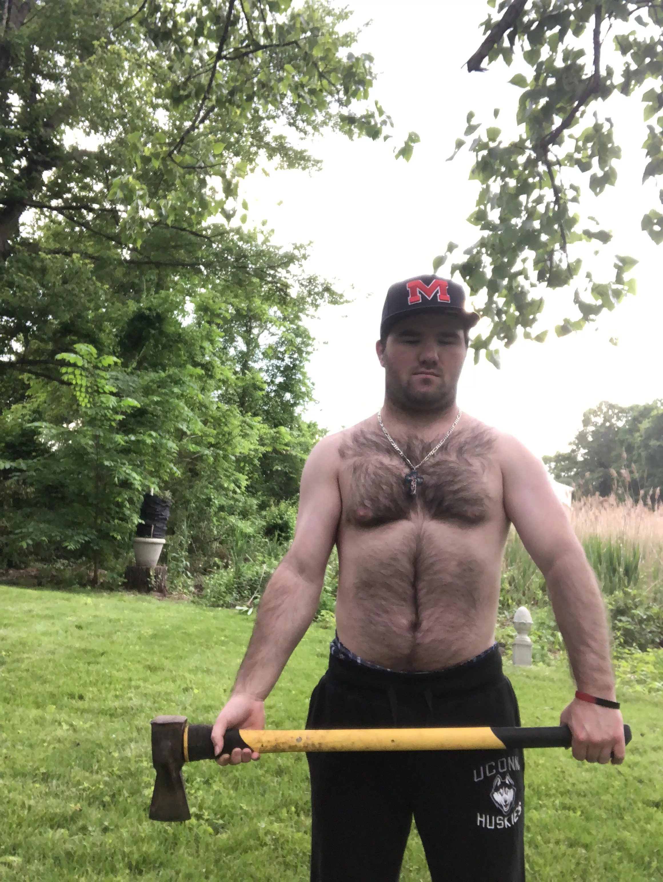 Who needs a tree chopped down?