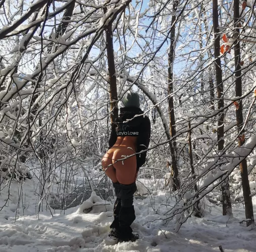 Winter fairytale ❄️