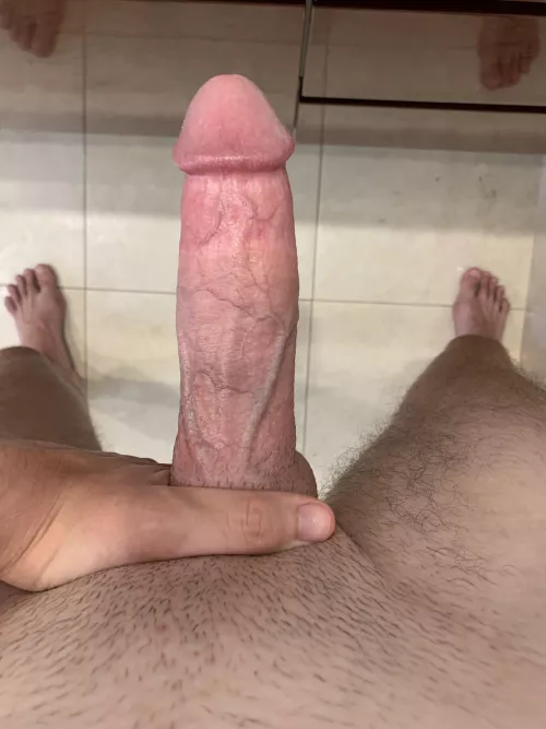 19M How does it look?